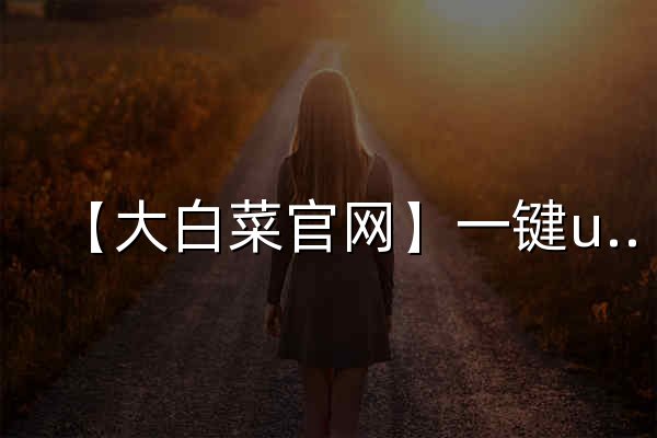 【大白菜官网】一键u盘装系统_u盘启动盘装系统制作工具_u盘winpe装系统 - 官网预览