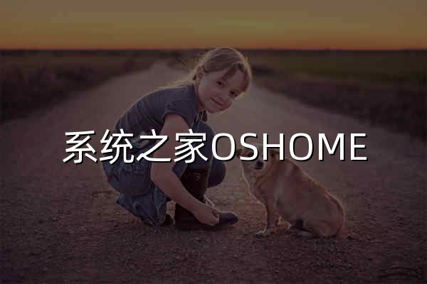 系统之家OSHOME - 为您打造全网优秀的系统网站！ - 官网预览