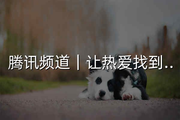 腾讯频道｜让热爱找到组织，工具齐全助力打造兴趣社群 - 官网预览