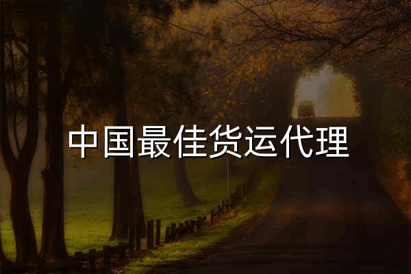 中国最佳货运代理 | 空运和海运 - 深圳巴森顿物流 - 官网预览