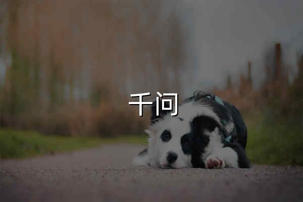 千问 - 阿里Qwen大模型打造的AI对话助手 - 官网预览